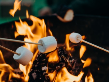 The Campfire Seekers