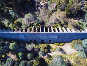 A Paris Hidden In The Rainforest