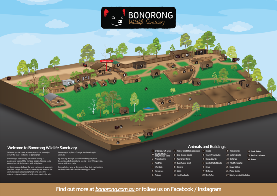 Bonorong Wildlife Sanctuary Map 29