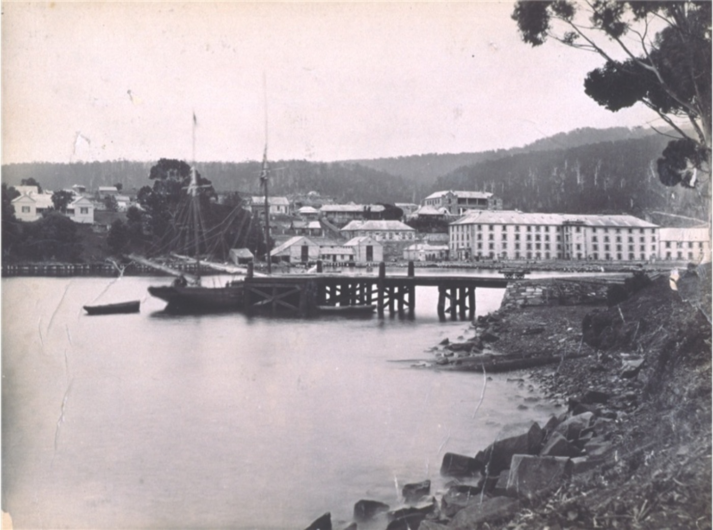 Autas001126183474W800