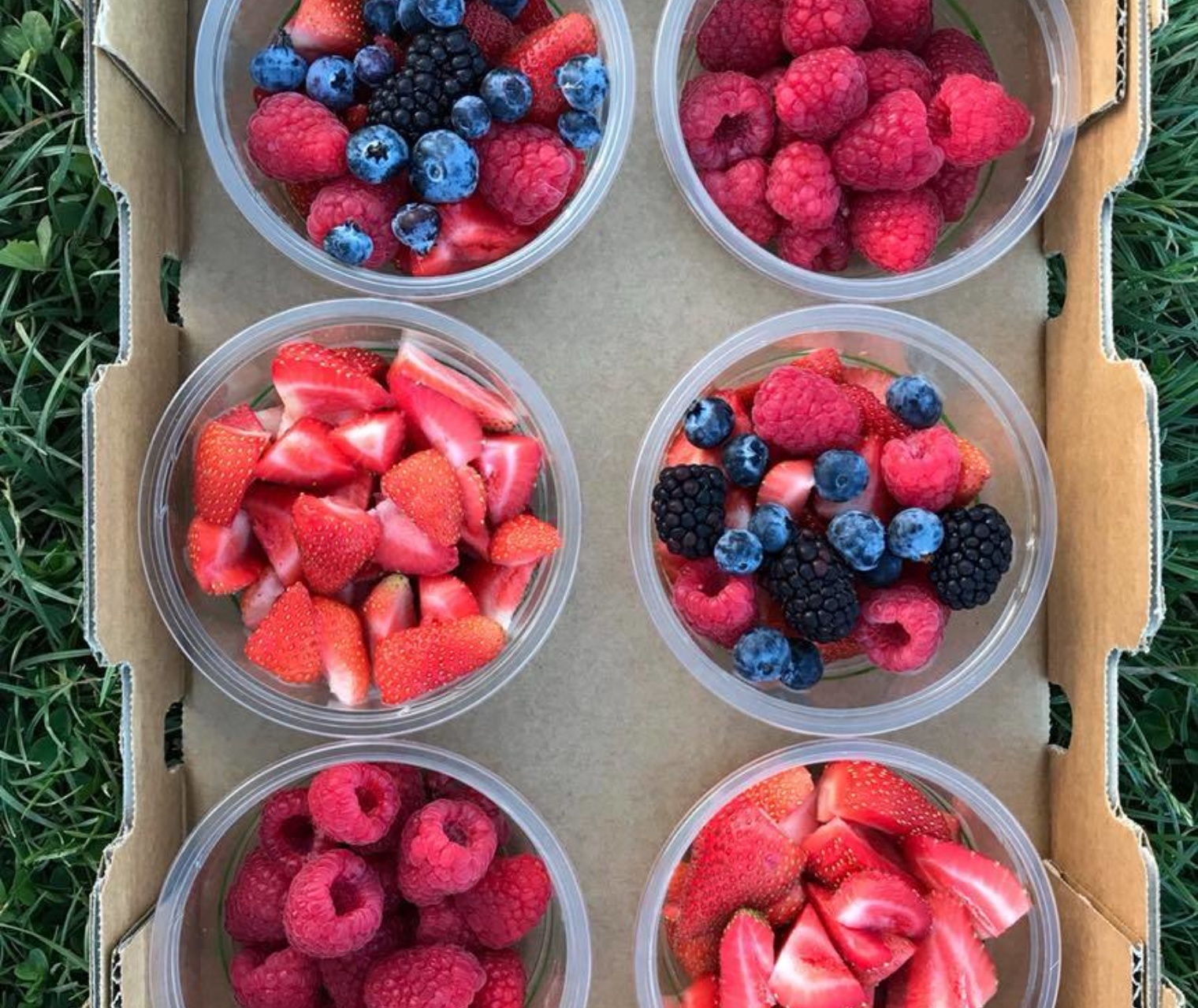 Tassie4Kids Hillwood Berry Farm and Farmgate