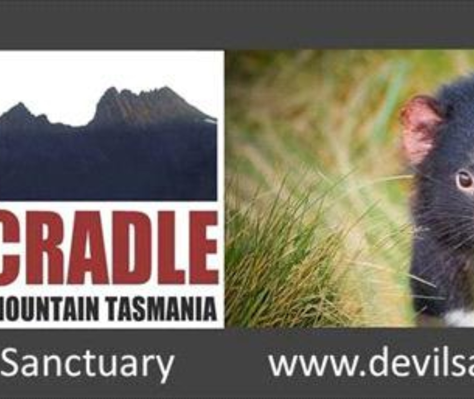 Tassie4Kids | Devils@Cradle