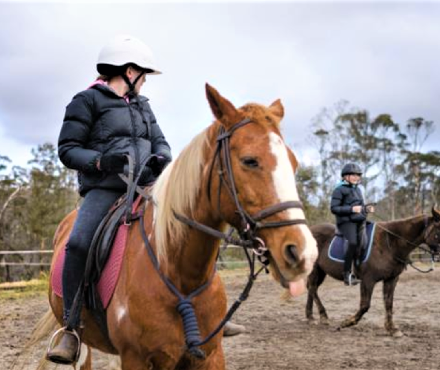 Tassie4Kids Horseriding Tasmania