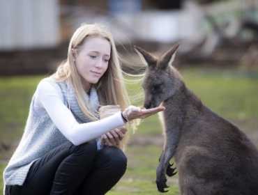 Bonorong Wildlife Sanctuary