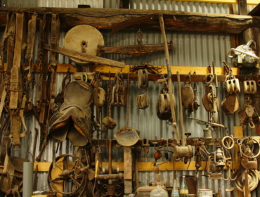 Morrisons Huon Pine Sawmill