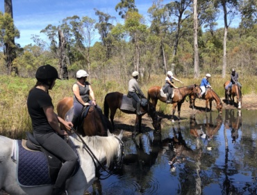 Horse Riding Tasmania, Hobart