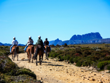 Take A Ride Through Cradle Country On Horseback
