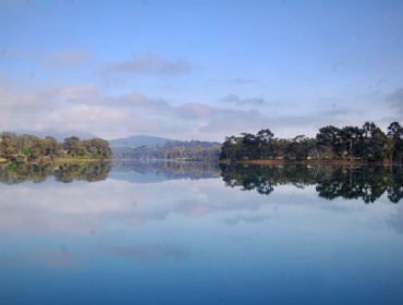 Leven River Cruises